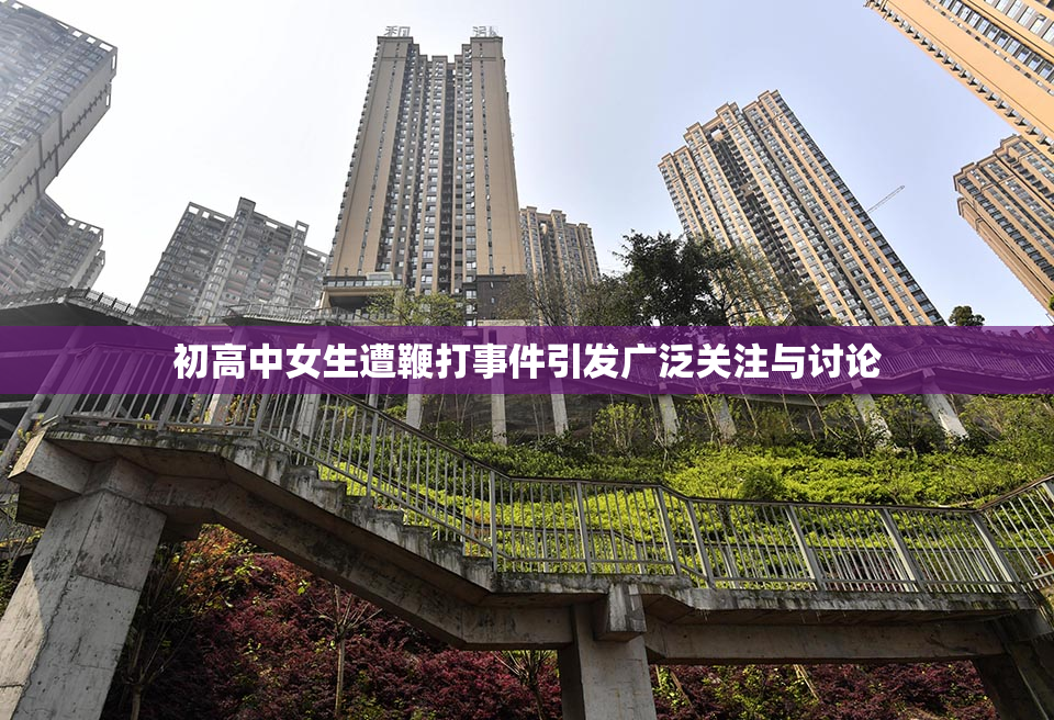 初高中女生遭鞭打事件引发广泛关注与讨论