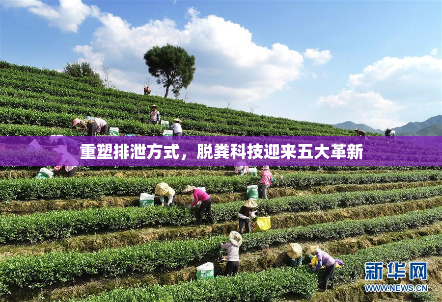 重塑排泄方式，脱粪科技迎来五大革新