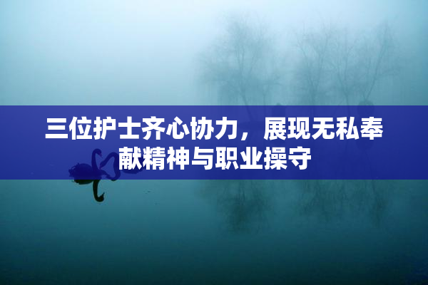 三位护士齐心协力，展现无私奉献精神与职业操守