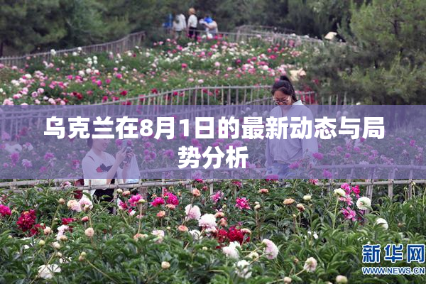 乌克兰在8月1日的最新动态与局势分析