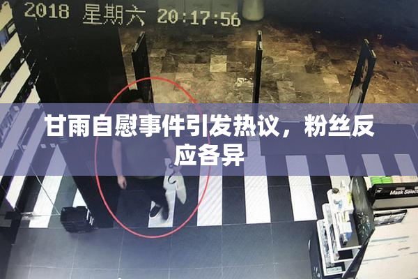 甘雨自慰事件引发热议，粉丝反应各异