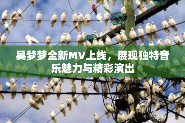 吴梦梦全新MV上线，展现独特音乐魅力与精彩演出