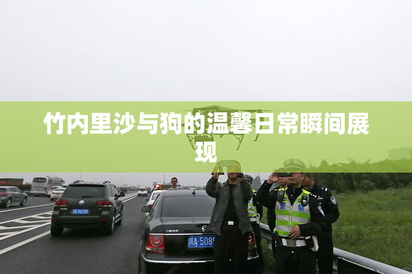 竹内里沙与狗的温馨日常瞬间展现