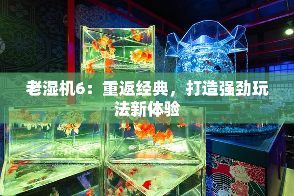 老湿机6：重返经典，打造强劲玩法新体验