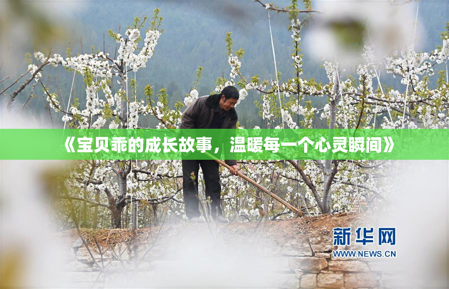 《宝贝乖的成长故事，温暖每一个心灵瞬间》