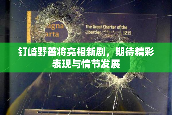 钉崎野蔷将亮相新剧，期待精彩表现与情节发展