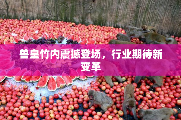 兽皇竹内震撼登场，行业期待新变革