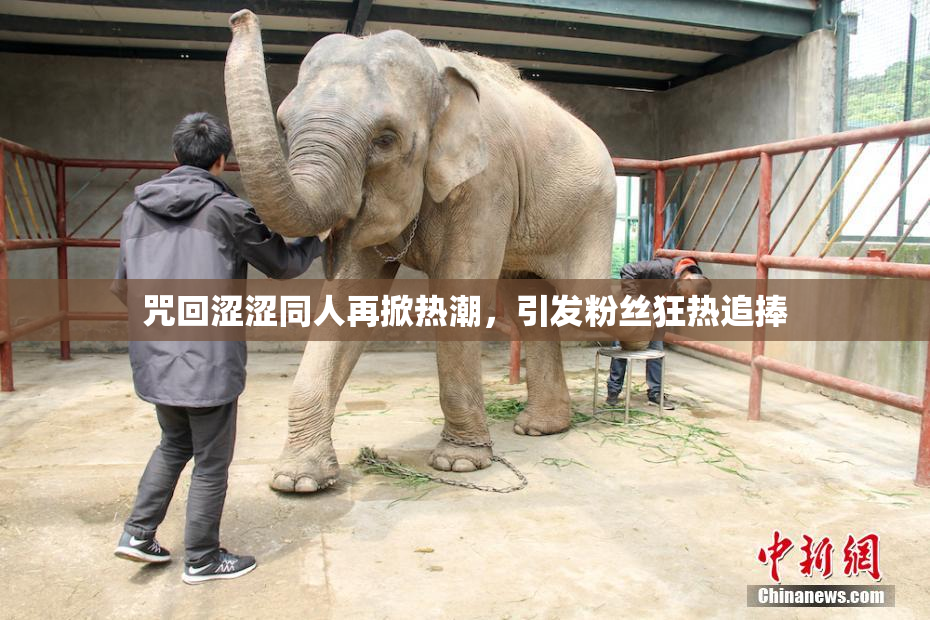 咒回涩涩同人再掀热潮，引发粉丝狂热追捧