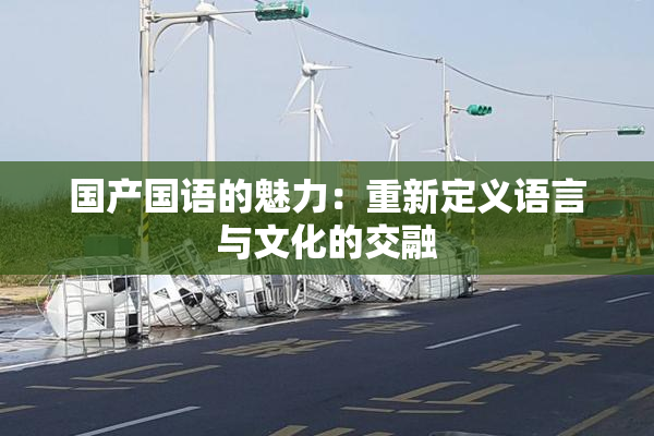国产国语的魅力：重新定义语言与文化的交融