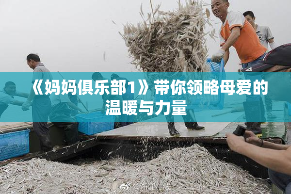 《妈妈俱乐部1》带你领略母爱的温暖与力量