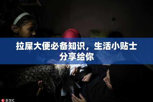 拉屎大便必备知识，生活小贴士分享给你
