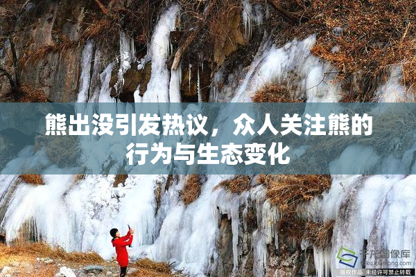 熊出没引发热议，众人关注熊的行为与生态变化