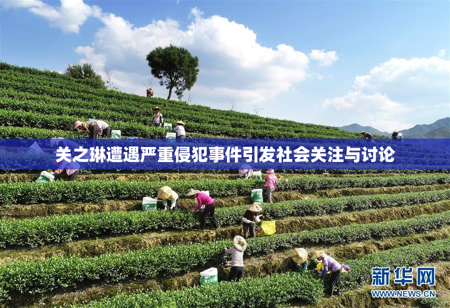 关之琳遭遇严重侵犯事件引发社会关注与讨论