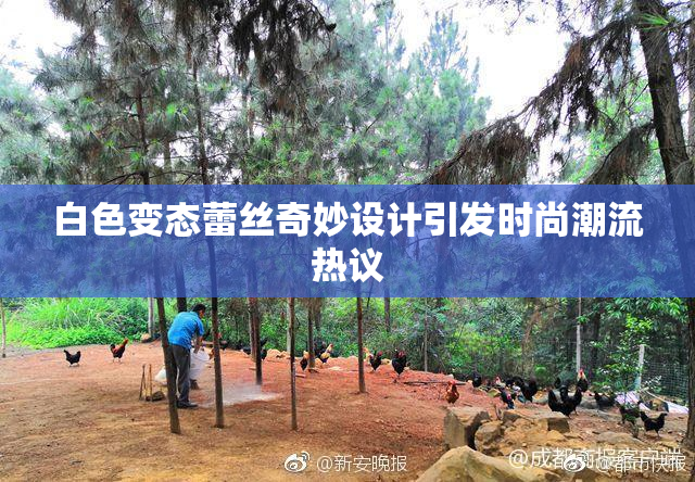 白色变态蕾丝奇妙设计引发时尚潮流热议