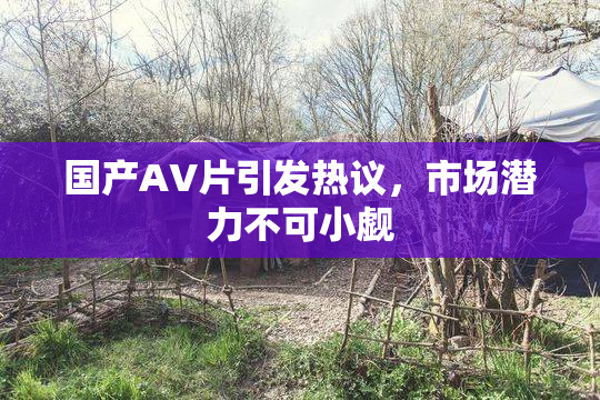国产AV片引发热议，市场潜力不可小觑