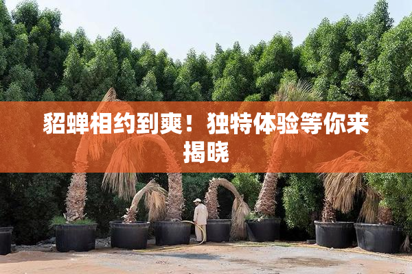 貂蝉相约到爽！独特体验等你来揭晓