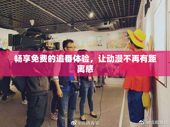畅享免费的追番体验，让动漫不再有距离感