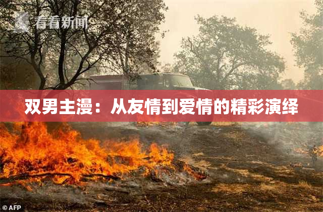 双男主漫：从友情到爱情的精彩演绎
