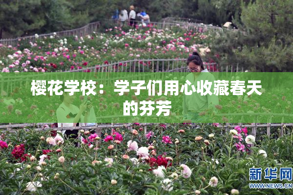 樱花学校：学子们用心收藏春天的芬芳
