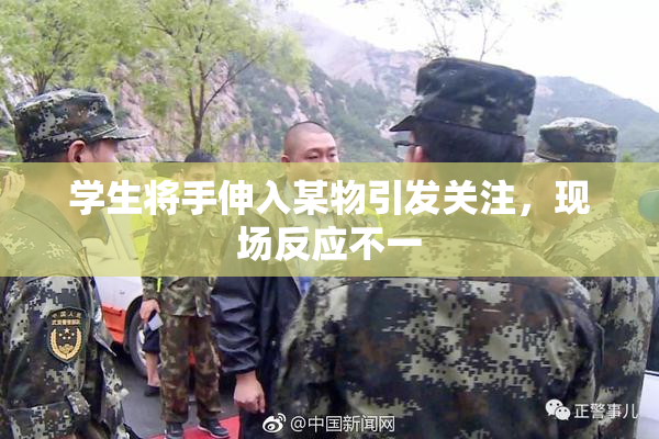 学生将手伸入某物引发关注，现场反应不一