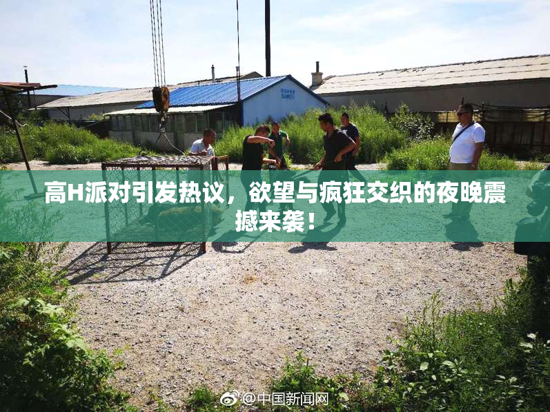 高H派对引发热议，欲望与疯狂交织的夜晚震撼来袭！