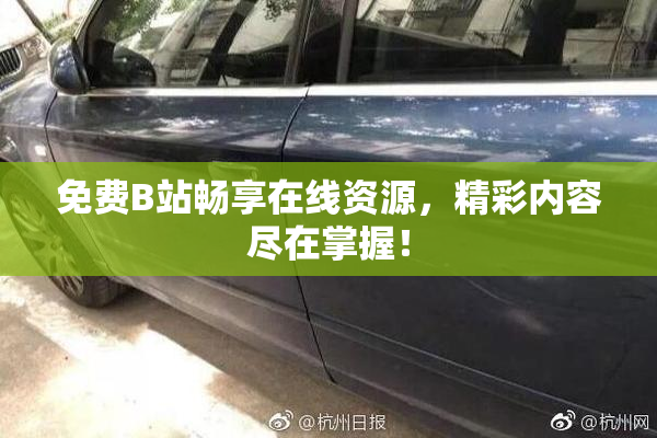 免费B站畅享在线资源，精彩内容尽在掌握！
