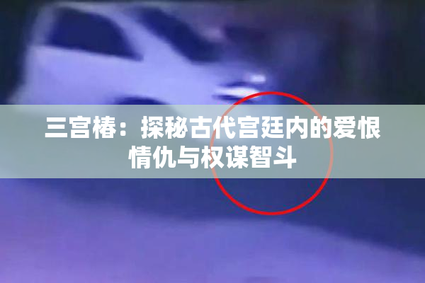 三宫椿：探秘古代宫廷内的爱恨情仇与权谋智斗