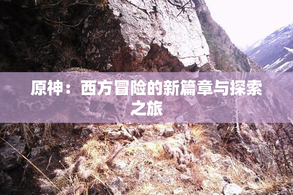 原神：西方冒险的新篇章与探索之旅