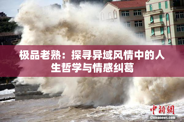 极品老熟：探寻异域风情中的人生哲学与情感纠葛