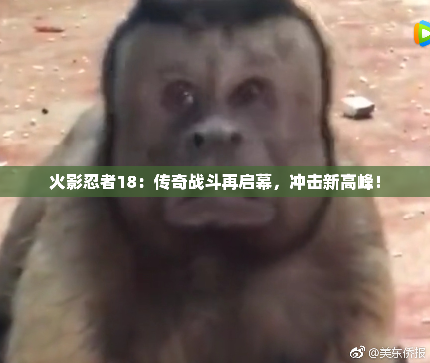 火影忍者18：传奇战斗再启幕，冲击新高峰！