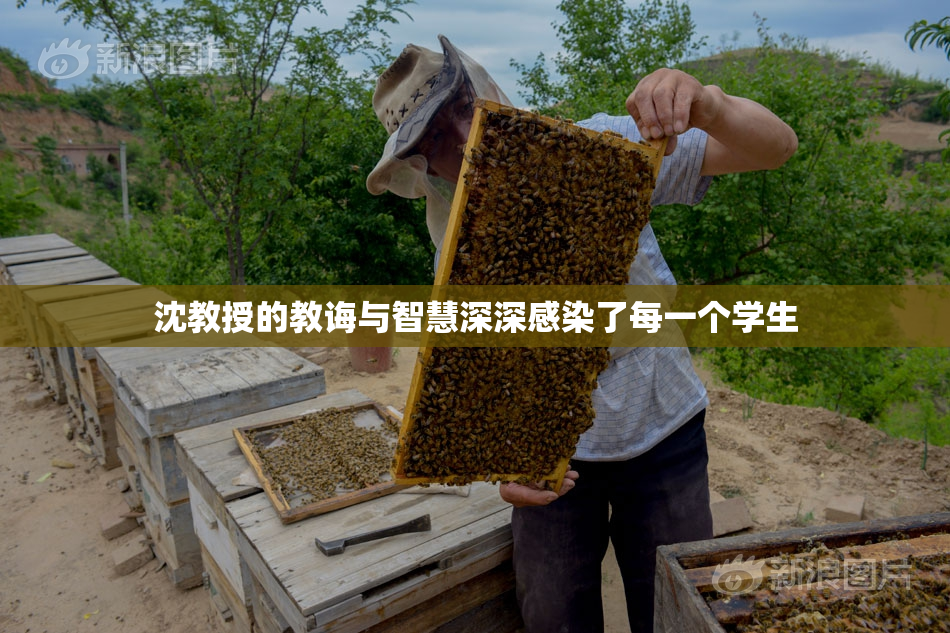 沈教授的教诲与智慧深深感染了每一个学生