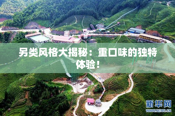 另类风格大揭秘：重口味的独特体验！
