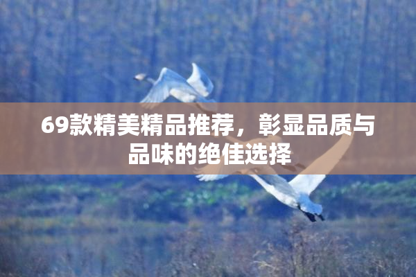 69款精美精品推荐，彰显品质与品味的绝佳选择