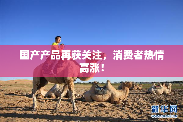 国产产品再获关注，消费者热情高涨！