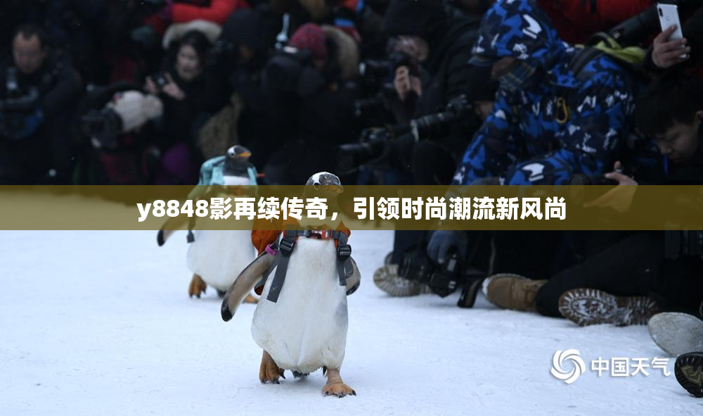 y8848影再续传奇，引领时尚潮流新风尚