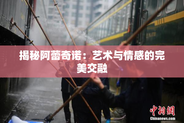 揭秘阿蕾奇诺：艺术与情感的完美交融