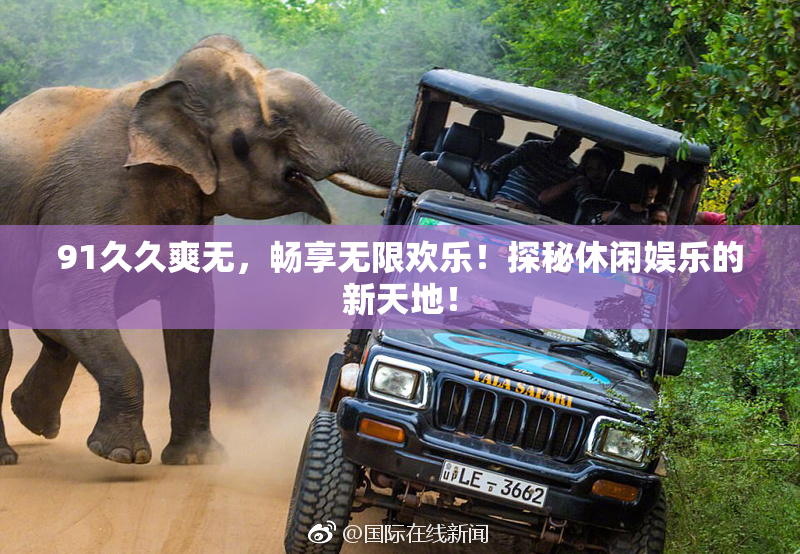 91久久爽无，畅享无限欢乐！探秘休闲娱乐的新天地！