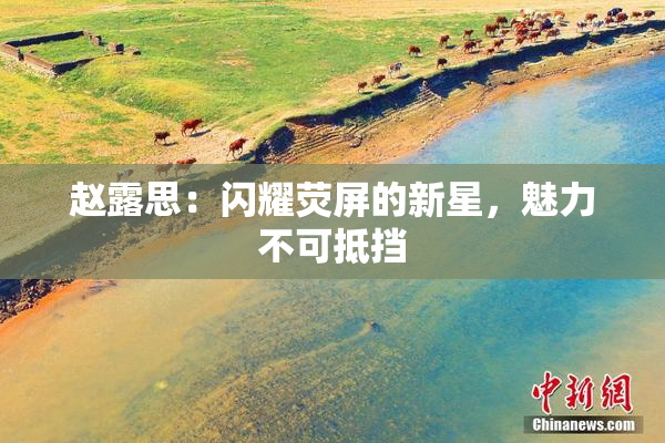 赵露思：闪耀荧屏的新星，魅力不可抵挡
