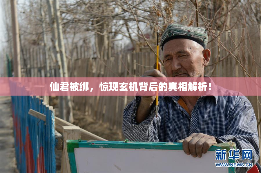 仙君被绑，惊现玄机背后的真相解析！