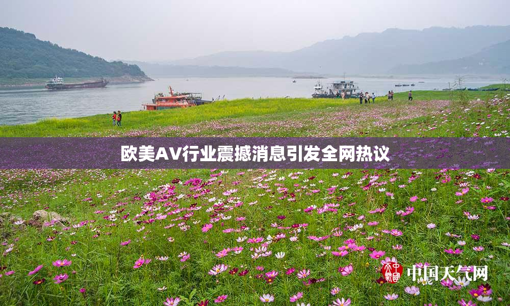 欧美AV行业震撼消息引发全网热议