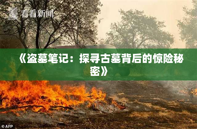 《盗墓笔记：探寻古墓背后的惊险秘密》