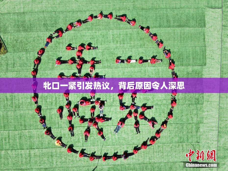 牝口一紧引发热议，背后原因令人深思
