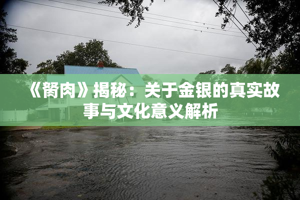 《胬肉》揭秘：关于金银的真实故事与文化意义解析