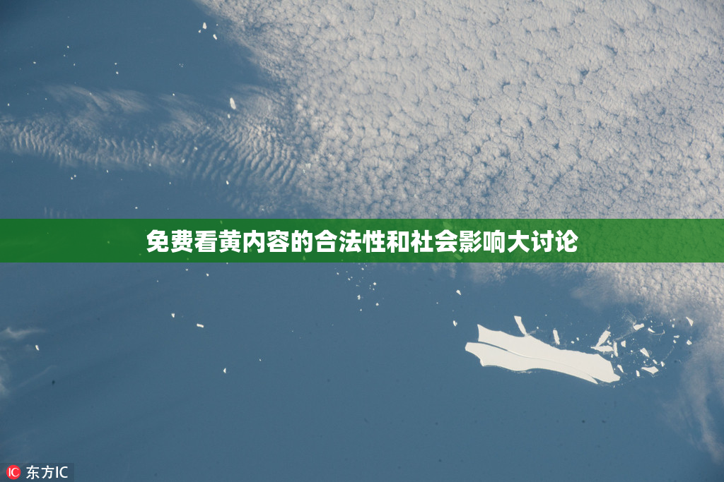 免费看黄内容的合法性和社会影响大讨论