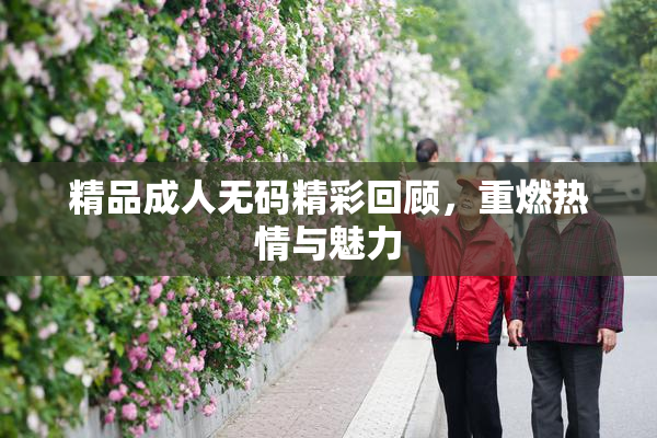 精品成人无码精彩回顾，重燃热情与魅力