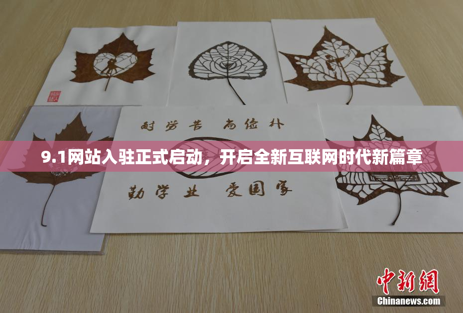 9.1网站入驻正式启动，开启全新互联网时代新篇章