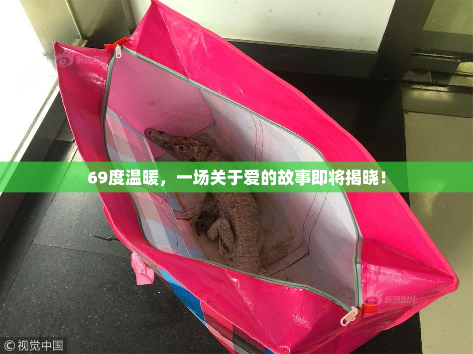 69度温暖，一场关于爱的故事即将揭晓！