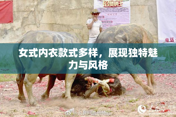 女式内衣款式多样，展现独特魅力与风格
