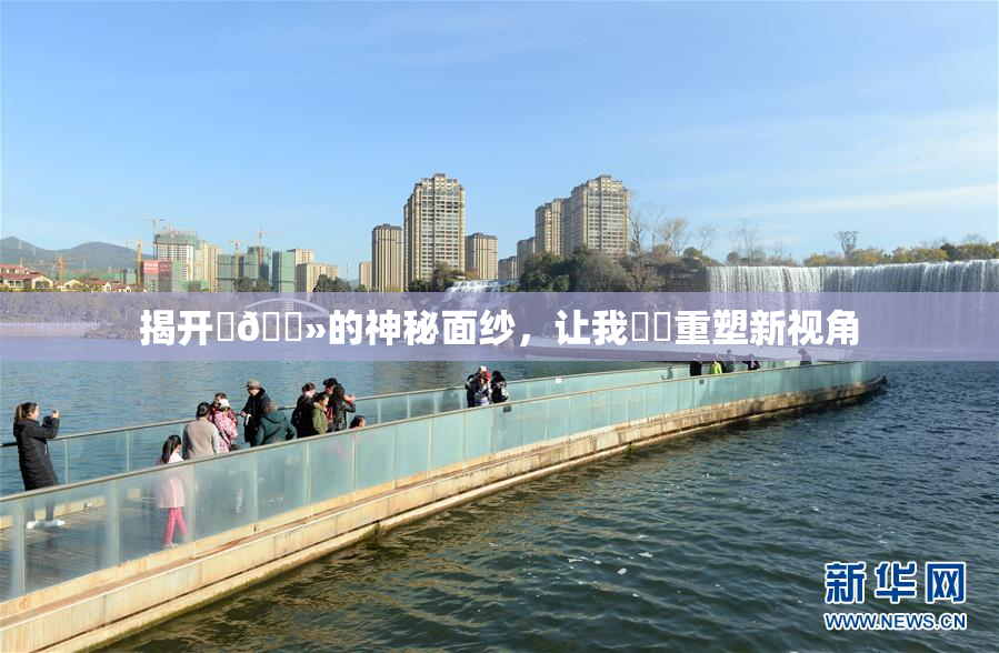 揭开‌🐻的神秘面纱，让我❌‌重塑新视角