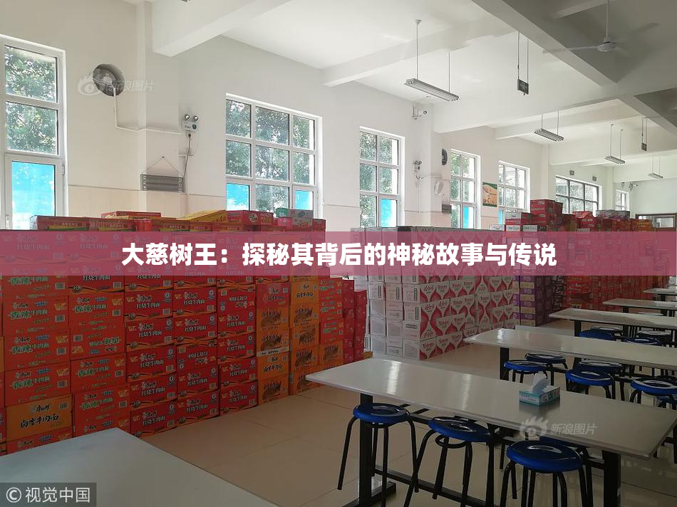 大慈树王：探秘其背后的神秘故事与传说